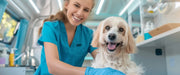 The Ultimate Guide for Running a Mobile Pet Grooming Business