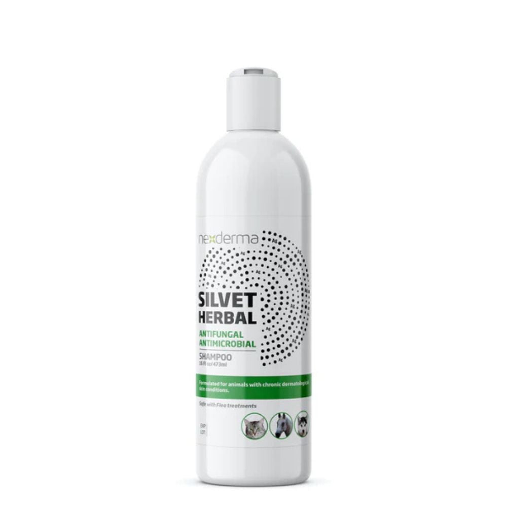 Silvet Shampoo - Antifungal & Antimicrobial by Nexderma