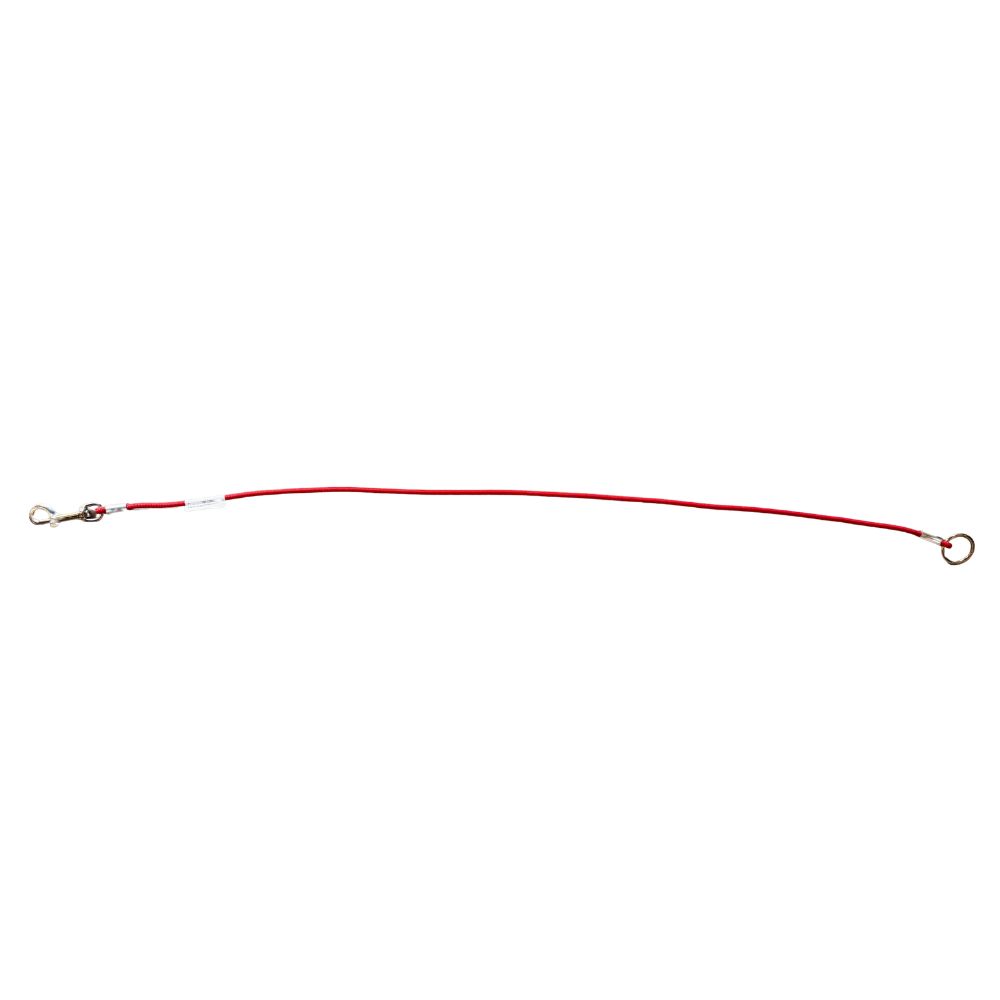 WAGS Nylon Choke Style Grooming Noose - 36"