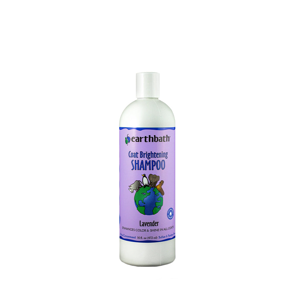 Earthbath Light Color Coat Brightener 33:1 Shampoo 16 oz