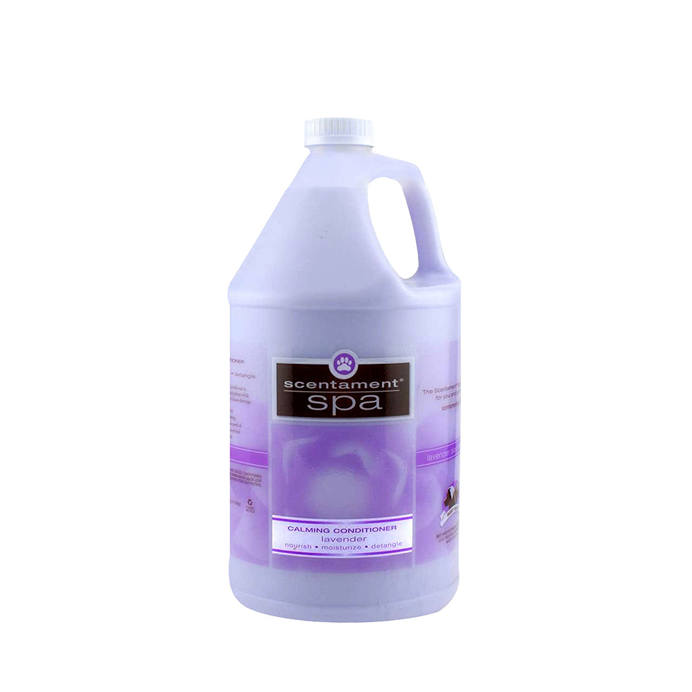 Scentament Spa Calming Conditioner Lavender Aloe 10:1 Gallon