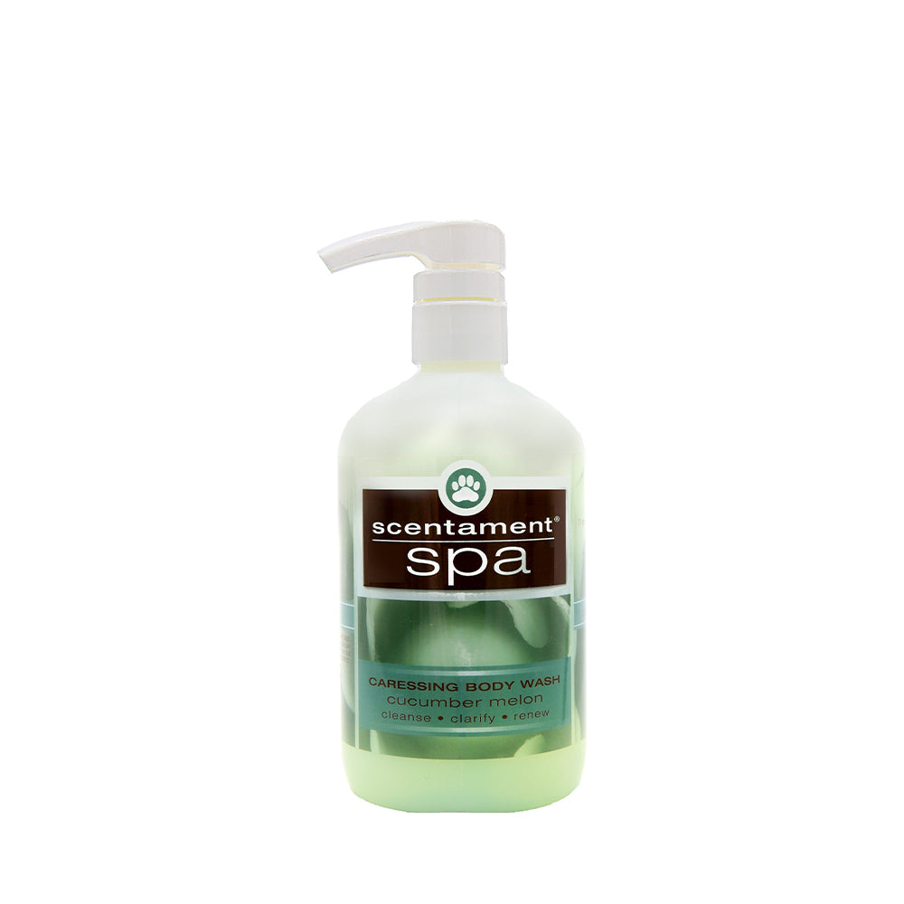 Scentament Spa Caressing Cucumber Melon 10:1 Body Wash 16 oz
