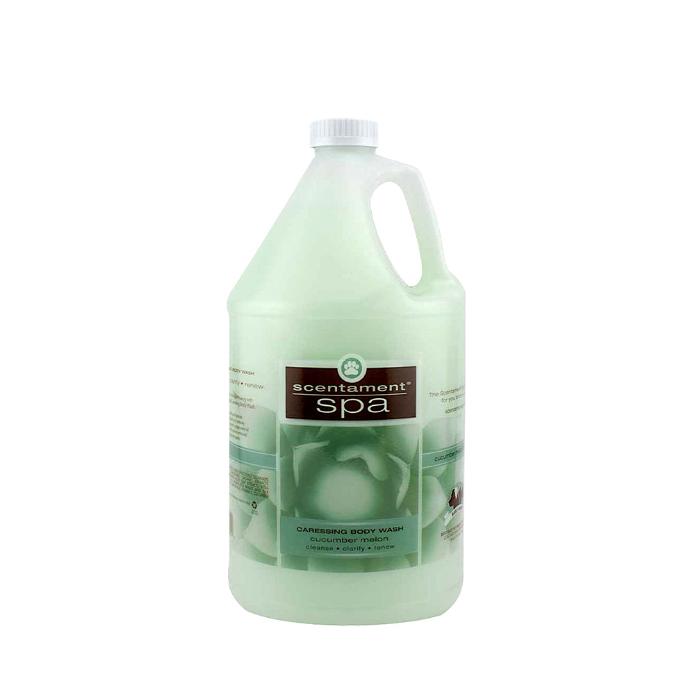 Scentament Spa Caressing Cucumber Melon 10:1 Body Wash Gallon