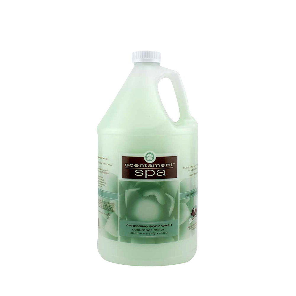 Scentament Spa Cucumber Melon Caressing Body Wash 10:1 Gallon