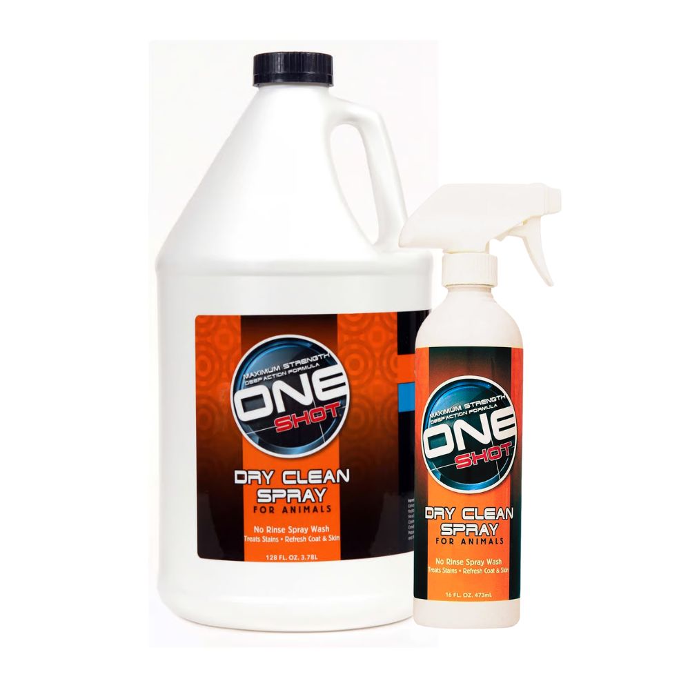 Best Shot One Shot Dry Clean Spray RTU
