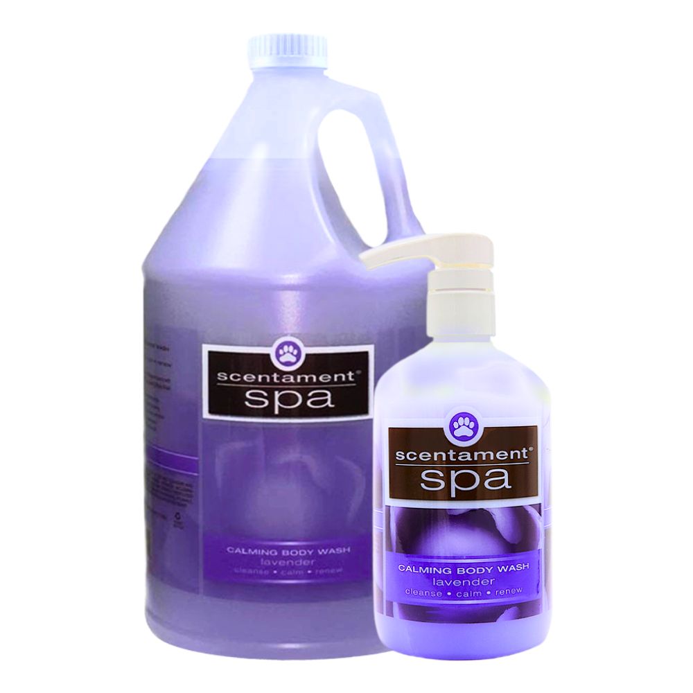 Scentament Spa Calming Body Wash Lavender